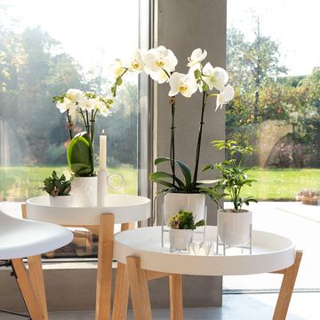 Pot KOLIBRI HOME NORDIC