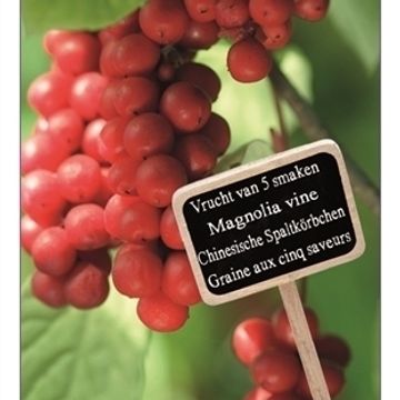 Schisandra chinensis