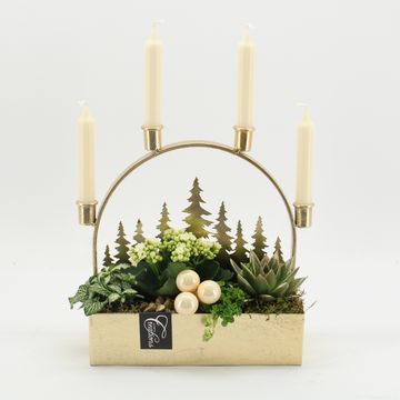 Arrangement Kerst