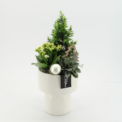 Arrangement Christmas