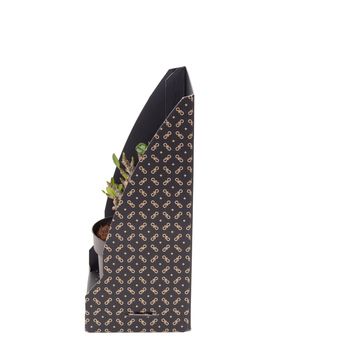 Adenium obesum ANSU BAOBAB