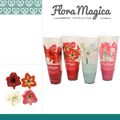 Hippeastrum COLIBRI MIX