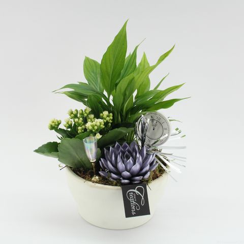 Arrangement New Year