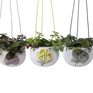 Plantas o interior MIX