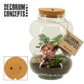 Arranjo Terrarium