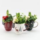 Arrangement Christmas