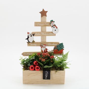 Arrangement Christmas