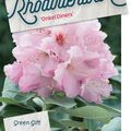 Rhododendron 'Onkel Dines'