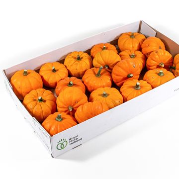 Cucurbita pepo 'Jack be Little'