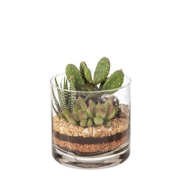 Composizione Cactus / Succulent