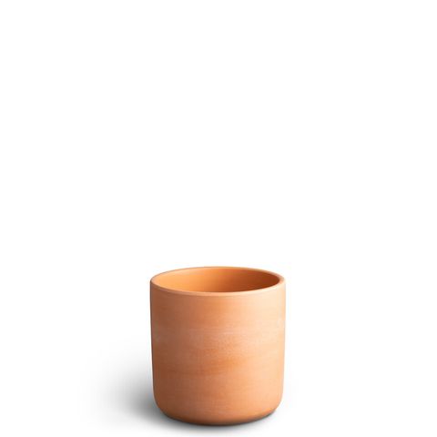 Pot 12 cm