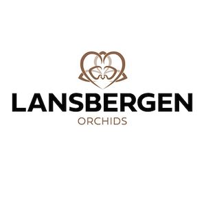 Lansbergen Orchids