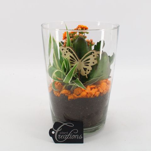 Arrangement Basic Fundamentals