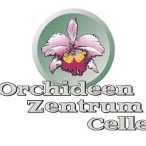 Wichmann Orchideen e.K.