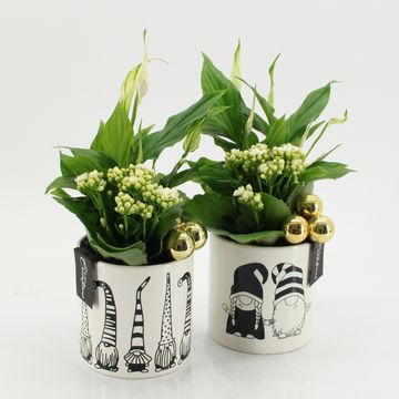 Arrangement Christmas