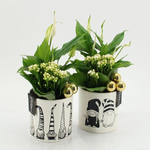 Arrangement Christmas