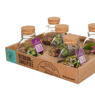 Arrangement Terrarium Easter