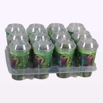 Carnivorous plants MIX