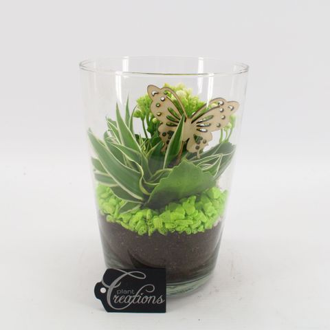 Arrangement Basic Fundamentals