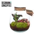 Arrangemang Terrarium