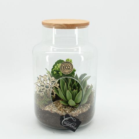 Kомпозиции Essentials Terrarium