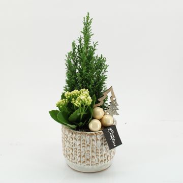 Arrangement Christmas