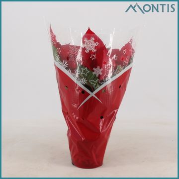 Euphorbia pulcherrima MARS IMPROVED RED