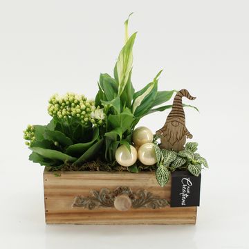 Arrangement Christmas