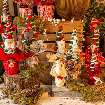 Chamaecyparis лавсониана 'Элвуди'