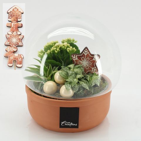 Arrangement Christmas