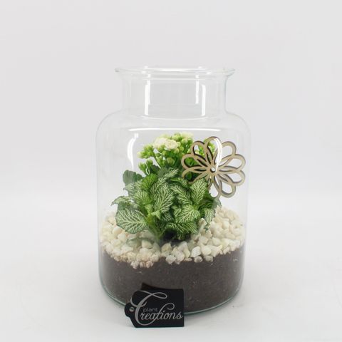 Composizione Basic Fundamentals Terrarium
