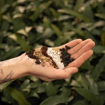 Substrates CACTI / SUCCULENTS MIX