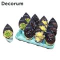 Aeonium MIX