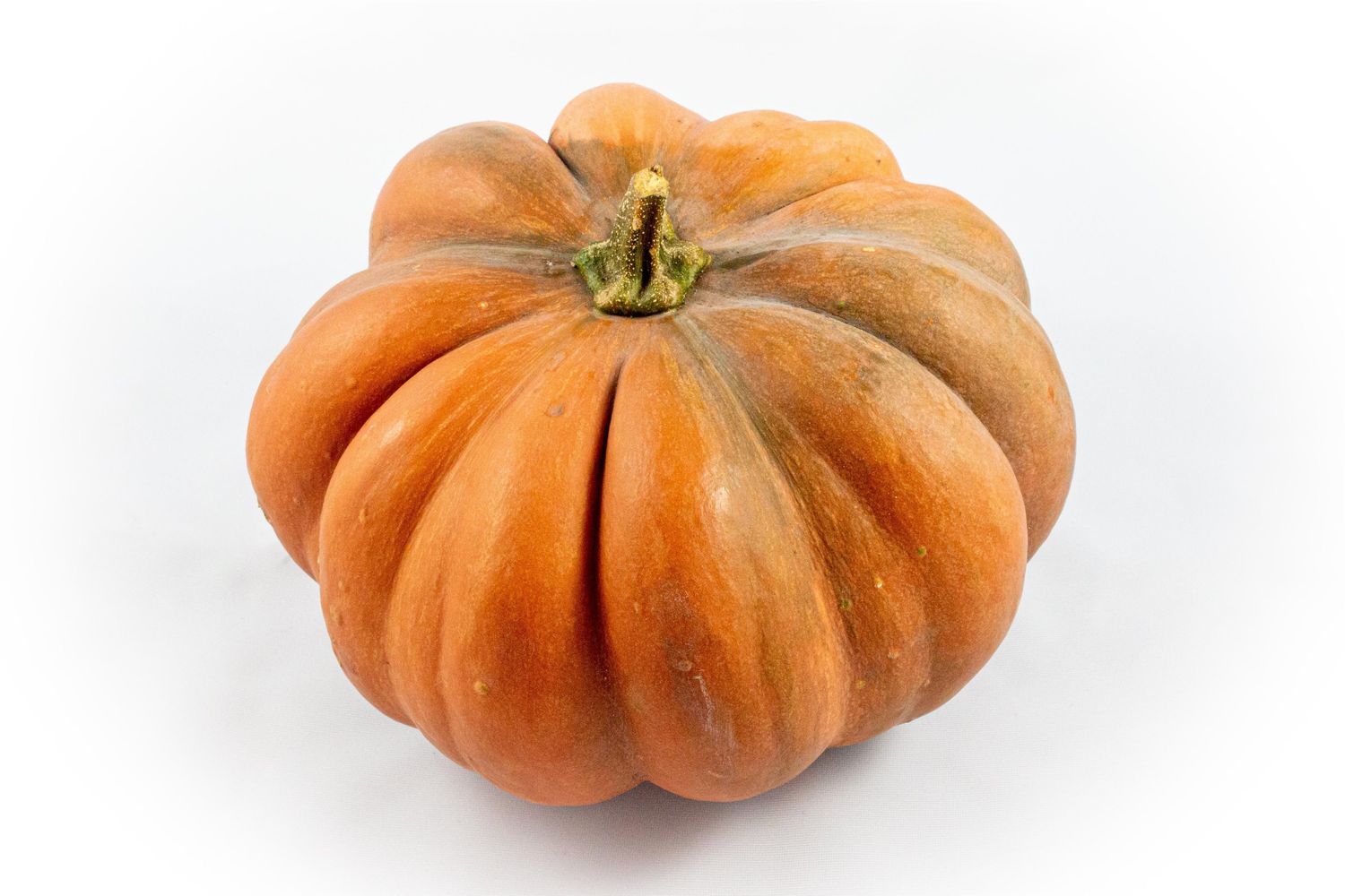 Cucurbita Moschata Musq e De Provence Bitkiler Toptan Sat FlorAccess cucurbita-moschata-musq-e-de-provence-bitkiler-toptan-sat-floraccess