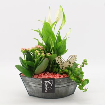 Arrangement Basic Fundamentals