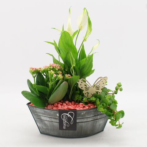 Arrangement Basic Fundamentals