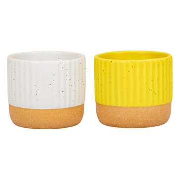 Pot 6 cm