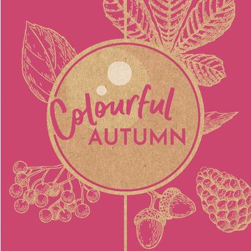 Sedum telephium SEDUCTION LA VIE EN ROSE