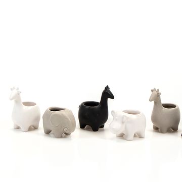 Pot 6 cm