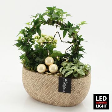 Arrangement Christmas