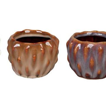 Pot 13 cm