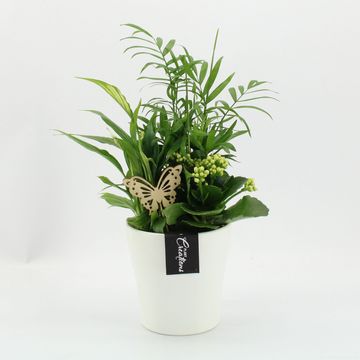 Ετοιμασίες Naturel