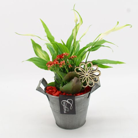 Arrangement Basic Fundamentals