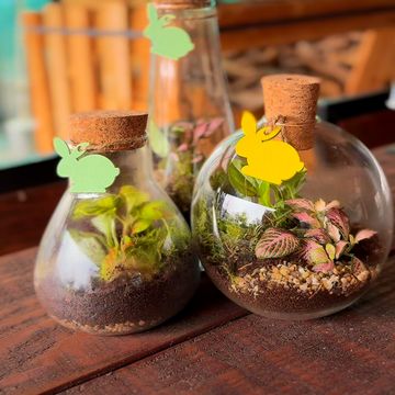 Arrangement Terrarium Easter