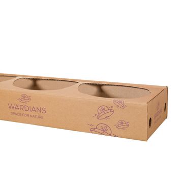 Arrangement Christmas