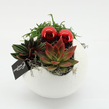 Arrangement Christmas