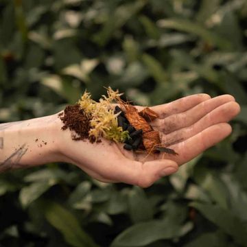 Substrates TERRARIUM MIX