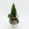 Arrangement Kerst