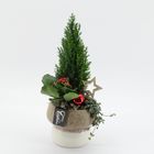 Arrangement Christmas