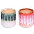 Pot 6 cm